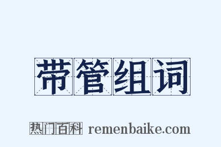 带管组词是什么意思的图片